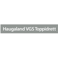Haugaland VGS Rygglogo N Transfermerke 280mm x 25 mm