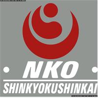 NKO SHINKYOKUSHINKAI N Transfermerke 90mm x 86mm