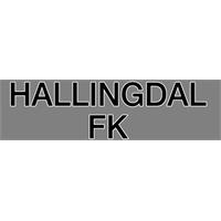 Hallingdal FK rygg N Transfermerke 260mm x 770mm