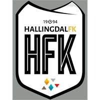 Hallingdal klubblogo N Transfermerke 56mm x 80mm