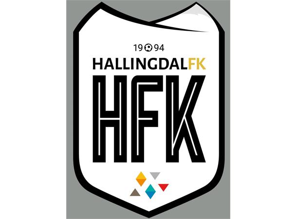 Hallingdal klubblogo N Transfermerke 56mm x 80mm 