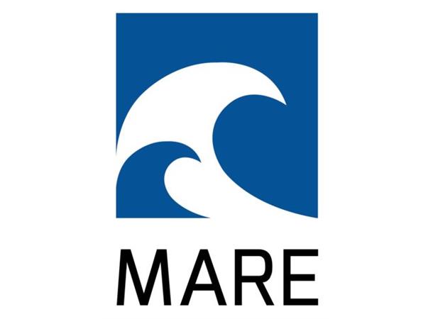 Larsnes IL Mare Logo N Transfermerke 150mm x 216mm 