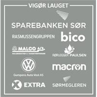 Vigørlauget Ryggtavle Transfermerke