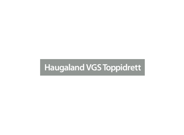 Haugaland VGS Rygglogo N Transfermerke 280mm x 25 mm 