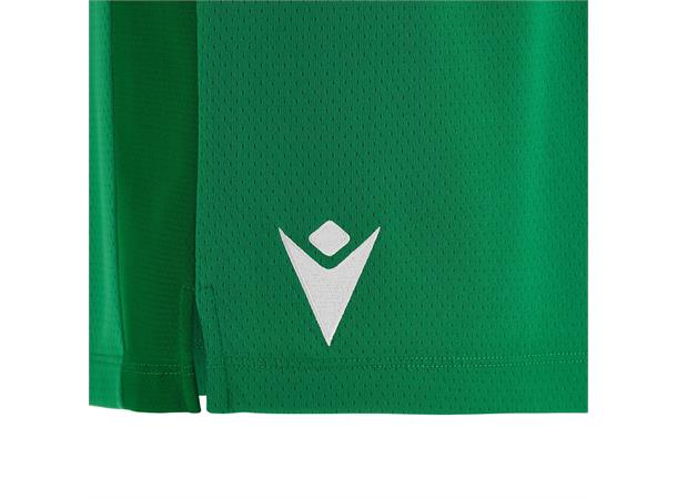 Platinum Eco Shorts W GRN/WHT XS Treningshorts i Eco-tekstil- Dame 