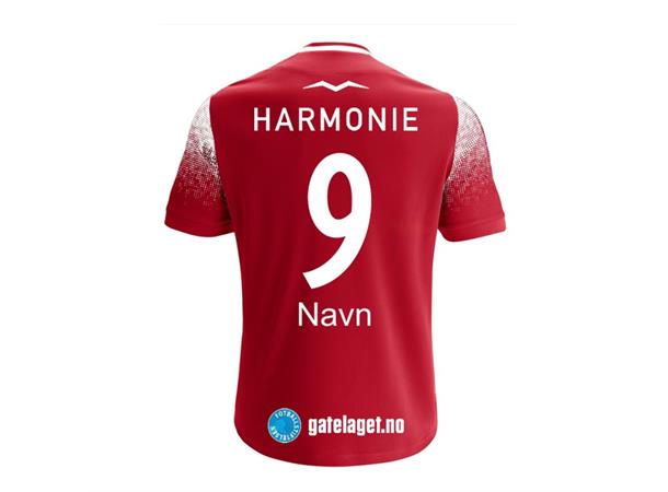 Sandefjord Fotball Bortedrakt Kampdrakt 2024 